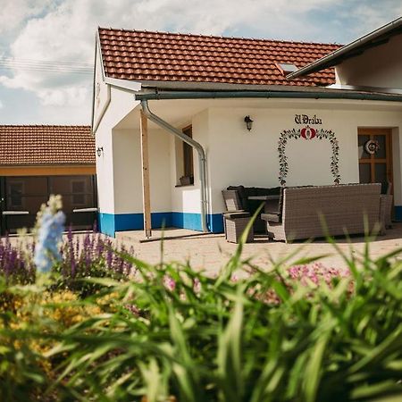 Apartman U Draba: Ubytovani Na Slovacku V Miloticich U Kyjova Milotice Exterior photo