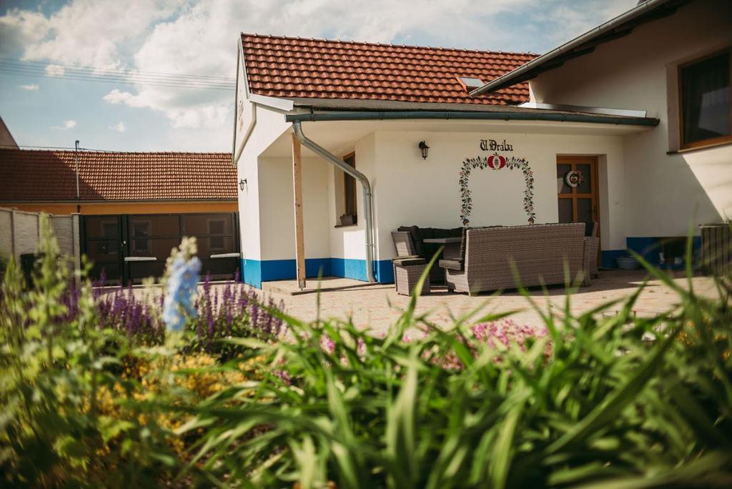 Apartman U Draba: Ubytovani Na Slovacku V Miloticich U Kyjova Milotice Exterior photo