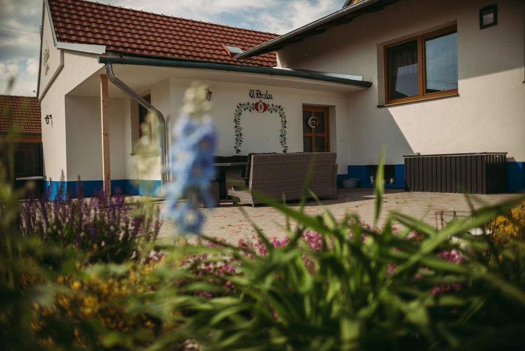 Apartman U Draba: Ubytovani Na Slovacku V Miloticich U Kyjova Milotice Exterior photo