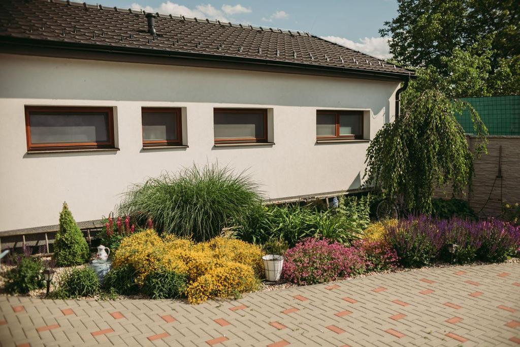 Apartman U Draba: Ubytovani Na Slovacku V Miloticich U Kyjova Milotice Exterior photo
